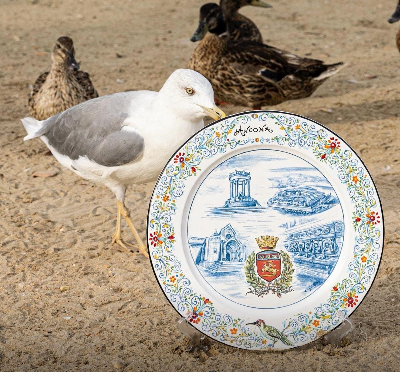 Piatto in maiolica dedicato ad Ancona, posato sulla sabbia mentre un gabbiano e due anatre gli passano accanto.