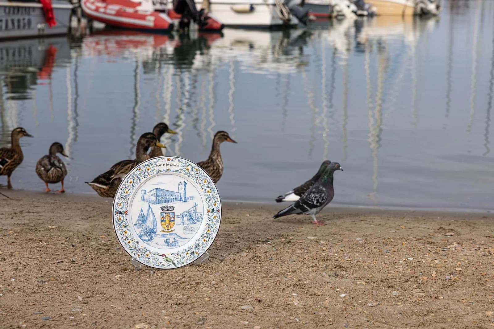 Un piatto in maiolica appoggiato sulla riva del porto, fra le anatre e un piccione.